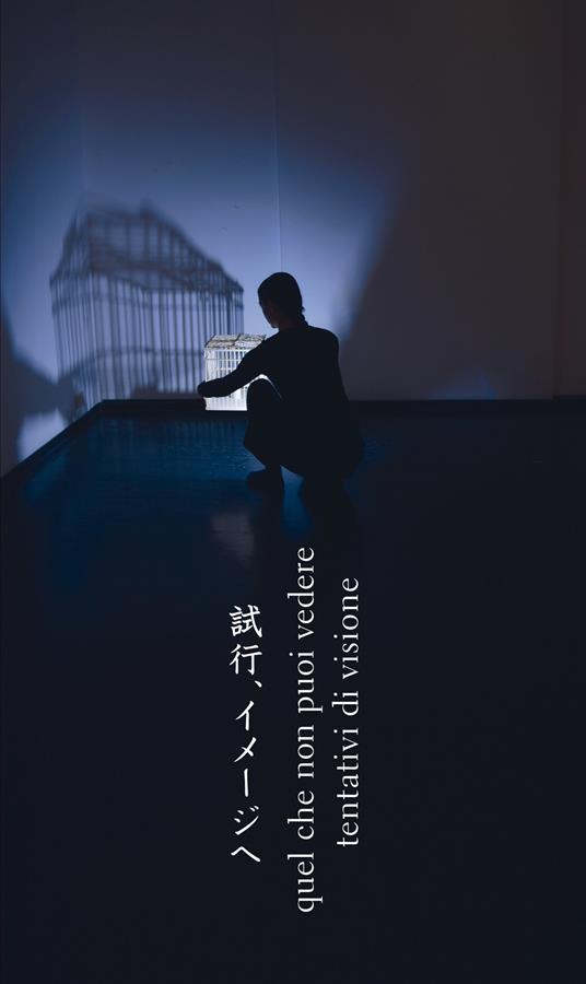 Quel che non puoi vedere/Tentativi di visione. Ediz. speciale - copertina