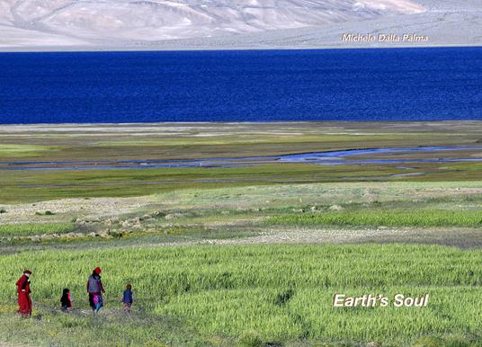 Femminicidi e omicidi in famiglia. Non è patriarcato! indagine sui fattori di rischio ignorati dal pensiero unico - Lorena Pensato - copertina
