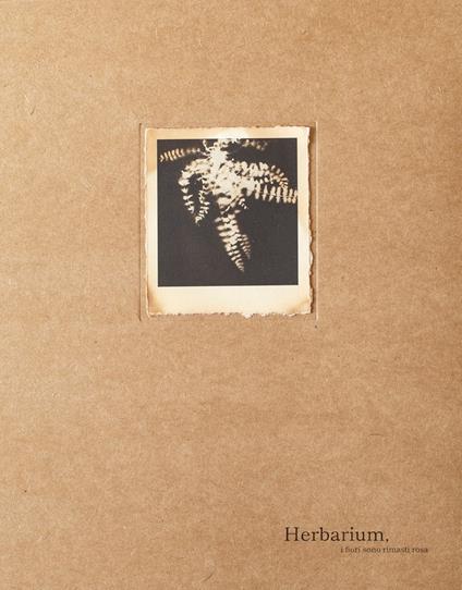 Herbarium. I fiori sono rimasti rosa. Ediz. italiana e inglese - Alessandra Calò - copertina