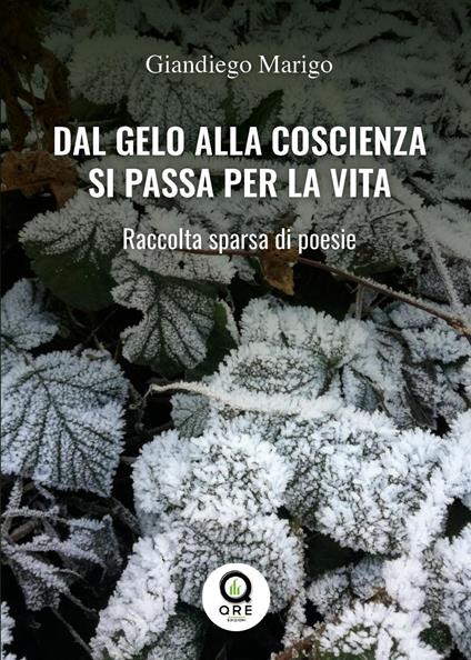 Dal gelo alla coscienza si passa per la vita. raccolta sparsa di poesie - Giandiego Marigo - copertina