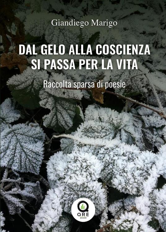 Dal gelo alla coscienza si passa per la vita. raccolta sparsa di poesie - Giandiego Marigo - copertina