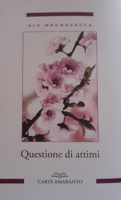 Questione di attimi - Ale Magnavacca - copertina