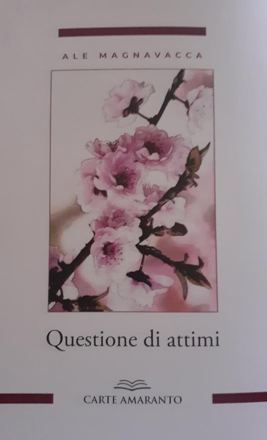 Questione di attimi - Ale Magnavacca - copertina