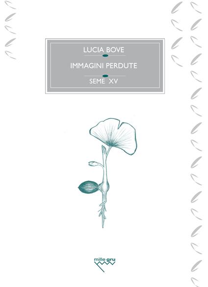 Immagini perdute. Ovvero, dell’amore e di un ginkgo biloba - Lucia Bove - copertina