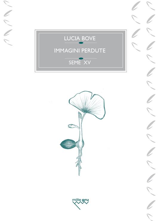Immagini perdute. Ovvero, dell’amore e di un ginkgo biloba - Lucia Bove - copertina