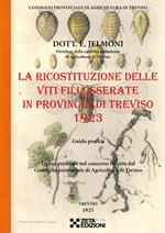 La ricostituzione delle viti fillosserate in provincia di Treviso 1923