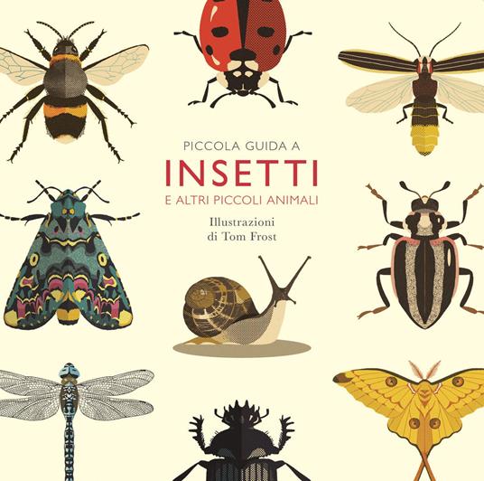 Piccola guida a insetti e altri piccoli animali - Alison Davies - copertina