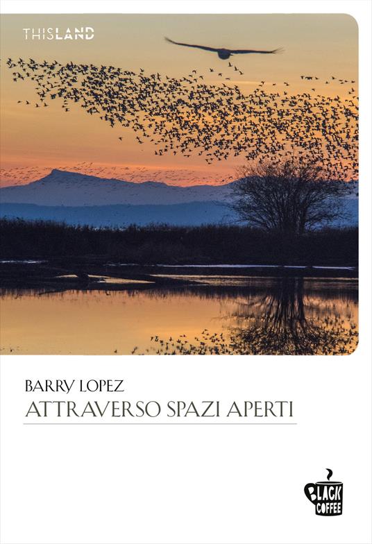 Attraverso spazi aperti - Barry Lopez,Sara Reggiani - ebook
