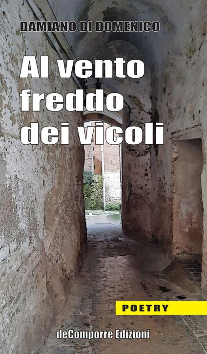 Al vento freddo dei vicoli - Damiano Di Domenico - copertina