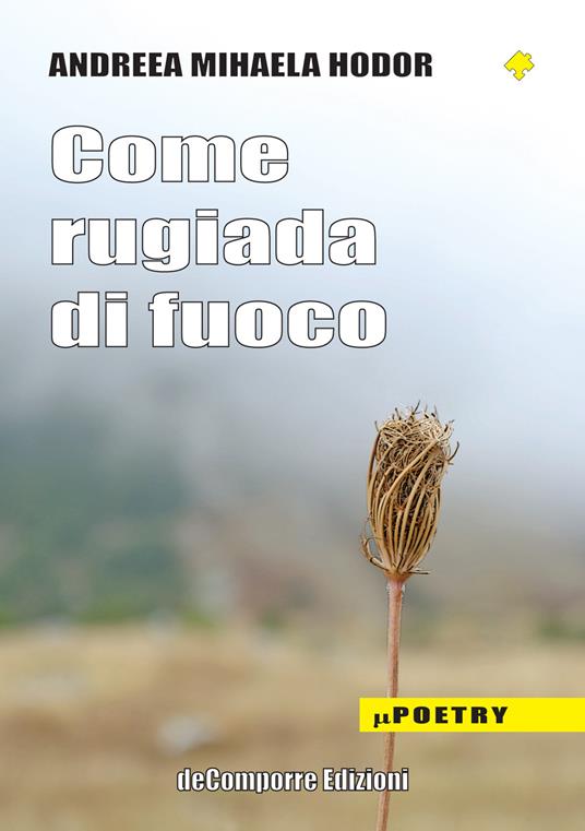 Come rugiada di fuoco - Andreea Mihaela Hodor - copertina