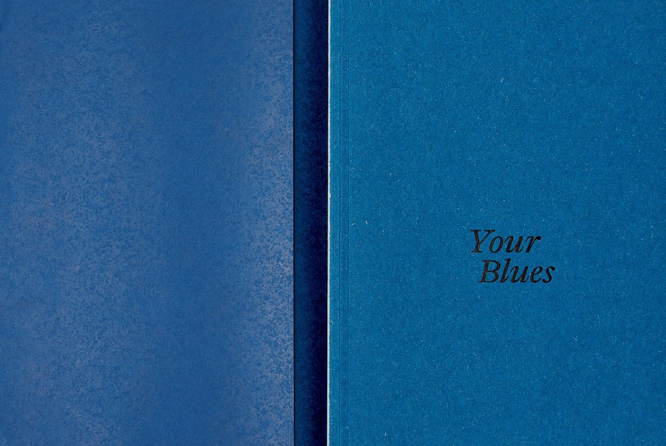 Your blues. Ediz. illustrata