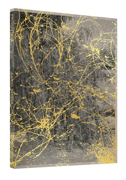 Providencia. Ediz. inglese e spagnola - Daniel Rueter - copertina