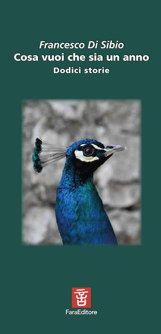 Cosa vuoi che sia un anno. Dodici storie - Francesco Di Sibio - copertina