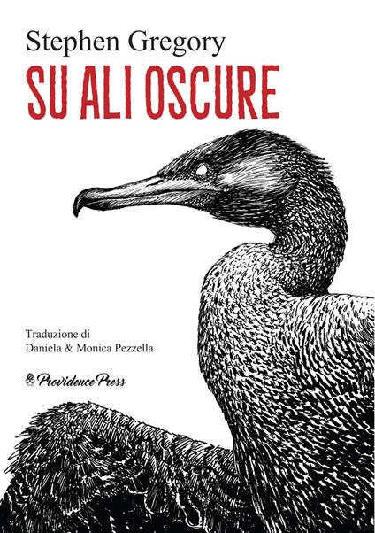 Su Ali Oscure - Stephen Gregory - copertina
