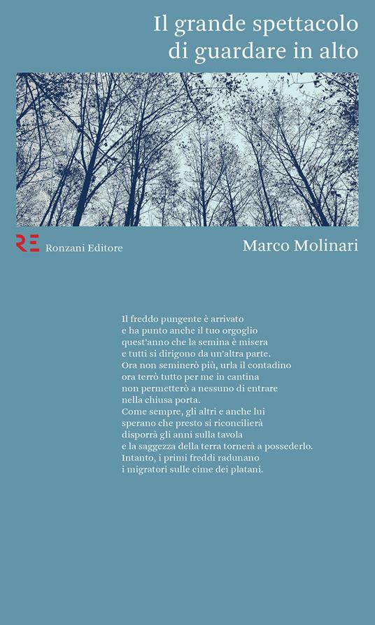 Il grande spettacolo di guardare in alto - Marco Molinari - copertina