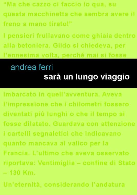 Sarà un lungo viaggio - Andrea Ferri - copertina