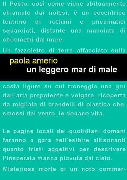 Un leggero mar di male - Paola Amerio - copertina