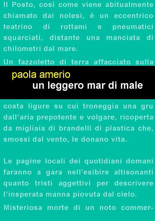 Un leggero mar di male - Paola Amerio - copertina