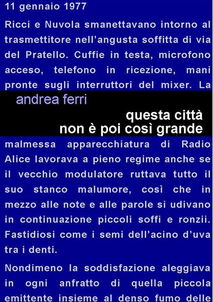 Questa città non è poi così grande - Andrea Ferri - copertina