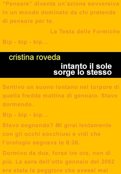 Intanto il sole sorge lo stesso - Cristina Roveda - copertina
