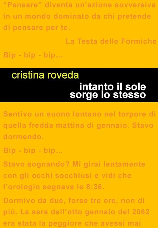 Intanto il sole sorge lo stesso - Cristina Roveda - copertina