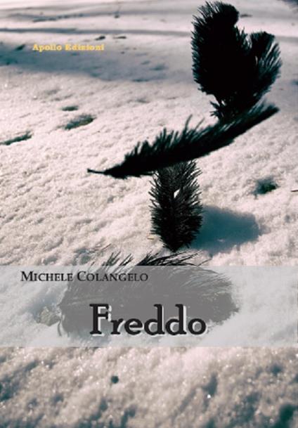 Freddo - Michele Colangelo - copertina