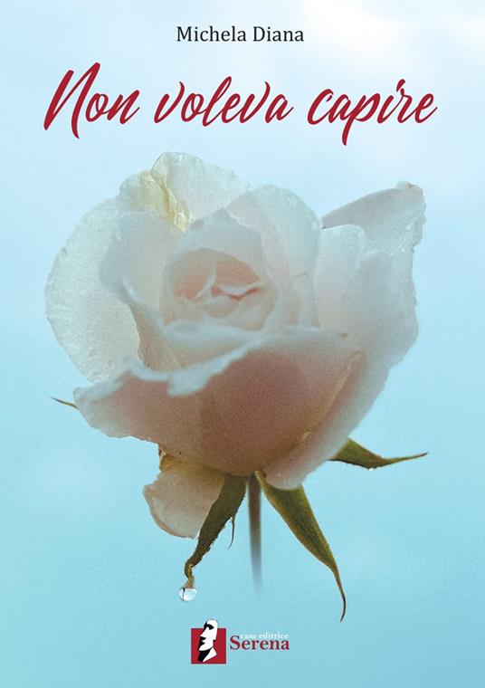 Non voleva capire - Michela Diana - copertina