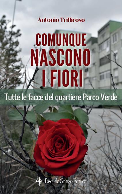 Comunque nascono i fiori. Tutte le facce del quartiere Parco Verde. Nuova ediz. - Antonio Trillicoso - copertina