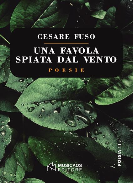 Una favola spiata dal vento - Cesare Fuso - copertina