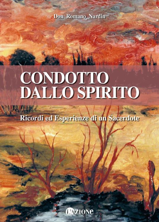 Condotto dallo Spirito. Ricordi ed esperienze di un sacerdote - Romano Nardin - copertina