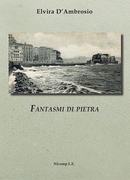 Fantasmi di pietra - Elvira D'Ambrosio - copertina