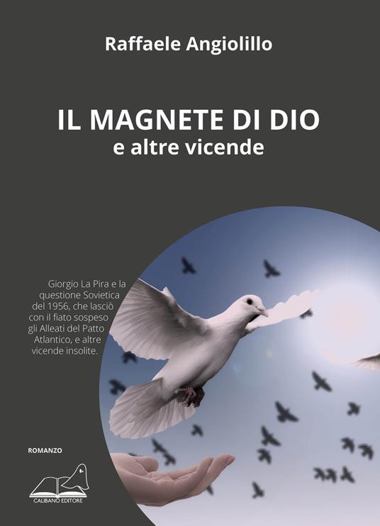 Il magnete di Dio e altre vicende - Raffaele Angiolillo - copertina