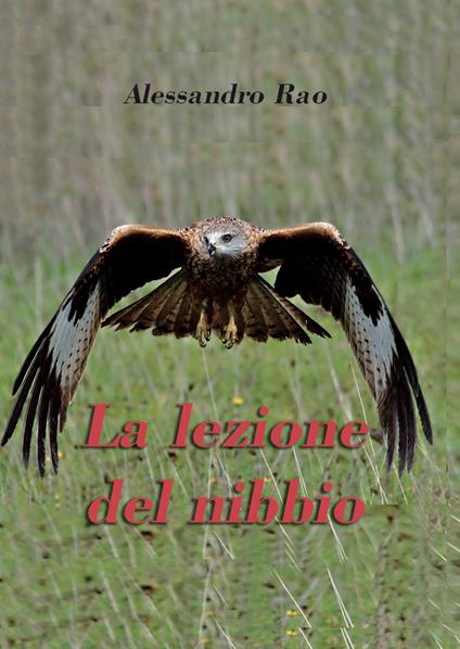 La lezione del nibbio - Alessandro Rao - copertina