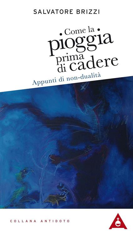 Come la pioggia prima di cadere. Appunti di non-dualità - Salvatore Brizzi - copertina