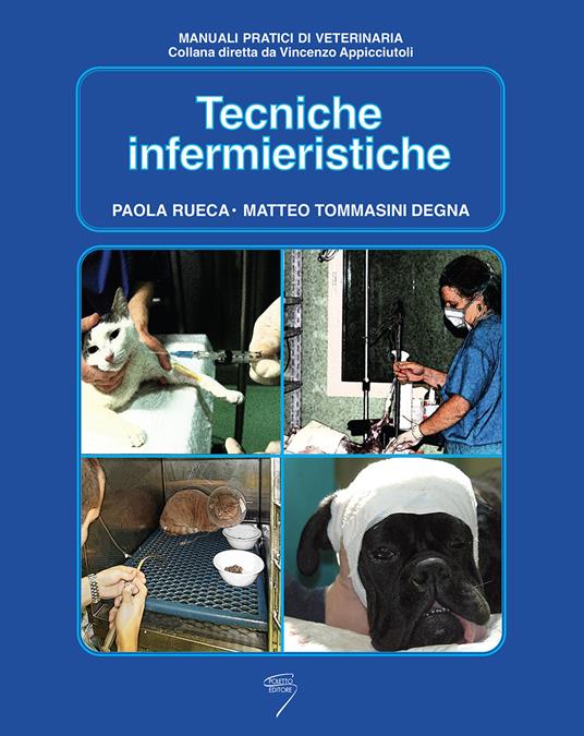 Tecniche infermieristiche - Paola Rueca,Matteo Tommasini Degna - copertina