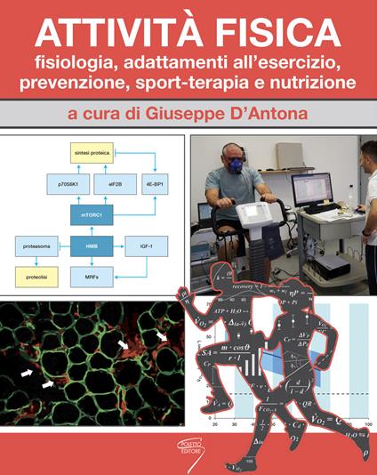 Attività fisica. Fisiologia, adattamenti all'esercizio, prevenzione, sport-terapia e nutrizione. Con Contenuto digitale per download e accesso online - copertina