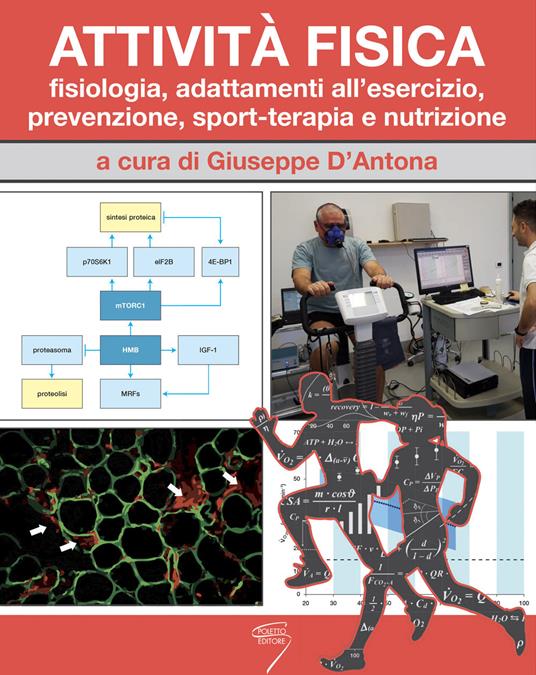 Attività fisica. Fisiologia, adattamenti all'esercizio, prevenzione, sport-terapia e nutrizione. Con Contenuto digitale per download e accesso online - copertina
