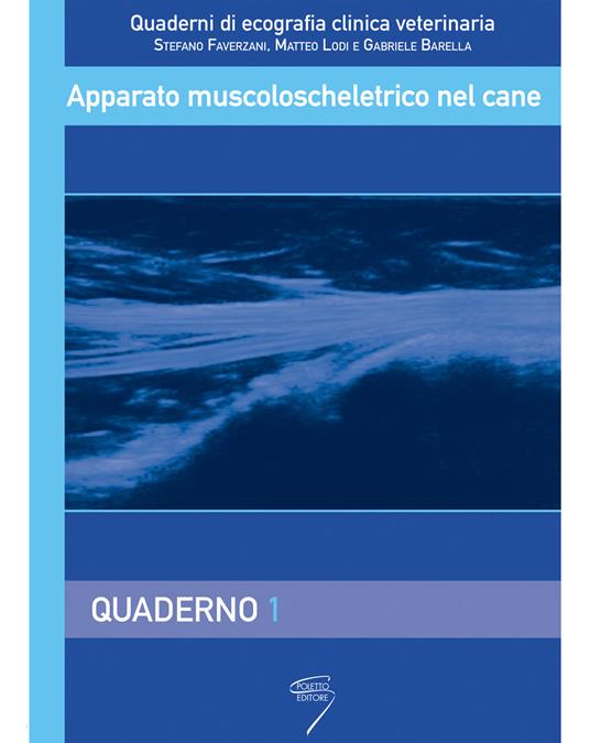 Apparato muscoloscheletrico nel cane - Stefano Faverzani,Matteo Lodi,Gabriele Barella - copertina