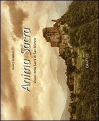Anima sacra. Visioni della sacra di San Michele. Ediz. multilingue. Con DVD - Franco Borrelli - copertina