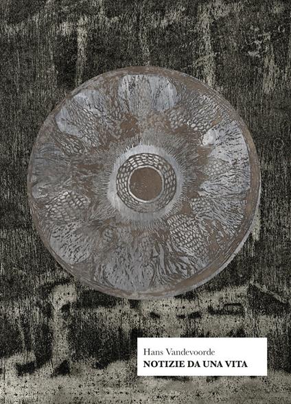 Notizie da una vita - Hans Vandevoorde - copertina