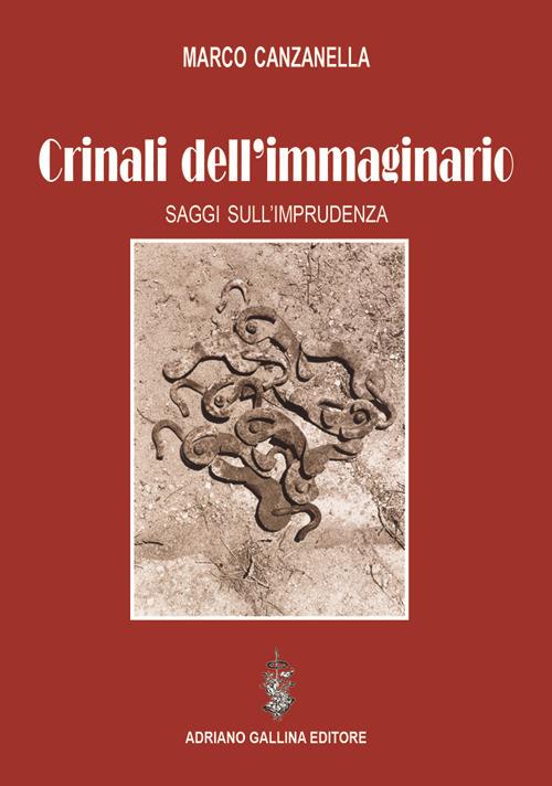 Crinali dell'immaginario. Saggi sull'imprudenza - Marco Canzanella - copertina