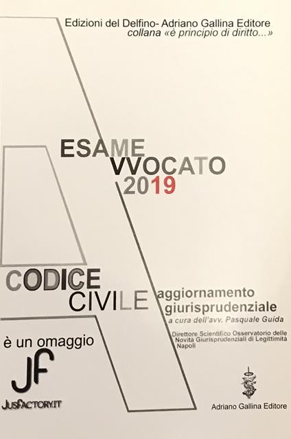 Esame avvocato 2019. Codice civile. Aggiornamento giurisprudenziale - Pasquale Guida - copertina