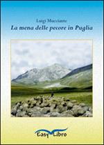 La mena delle pecore in Puglia