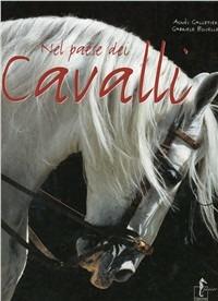 Nel paese dei cavalli. Ediz. illustrata - Gabriele Boiselle - copertina