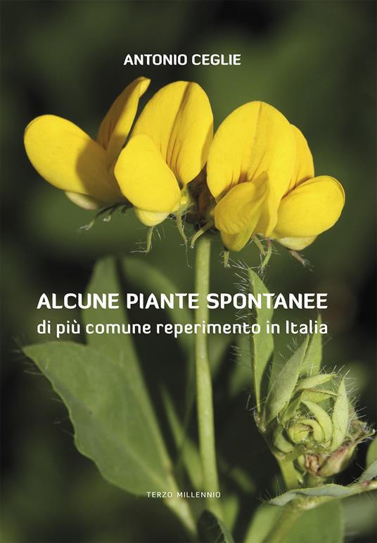 Alcune piante spontanee di più comune reperimento in Italia. Ediz. illustrata - Antonio Ceglie - copertina