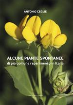 Alcune piante spontanee di più comune reperimento in Italia. Ediz. illustrata
