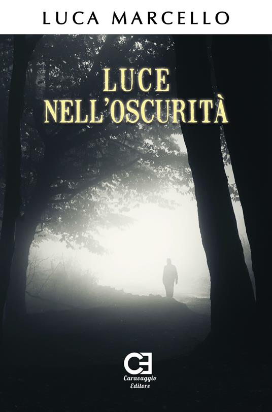 Luce nell'oscurità - Luca Marcello - copertina