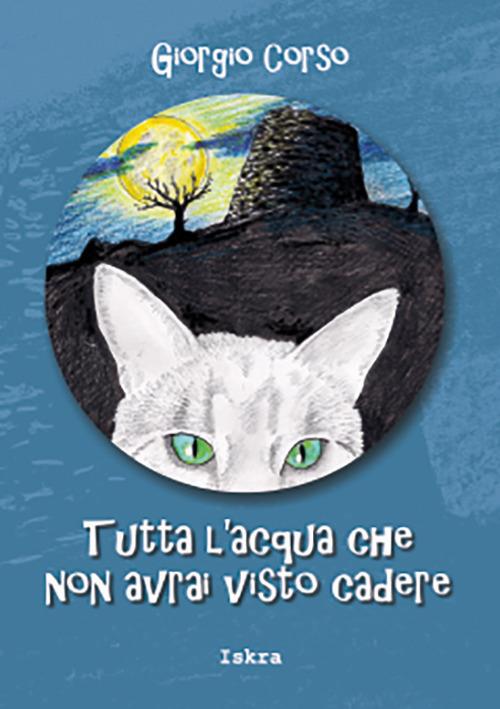 Tutta l'acqua che non avrai visto cadere - Giorgio Corso - copertina