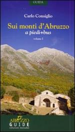 Sui monti d'Abruzzo a piedi + bus