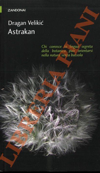 Libreria Piani